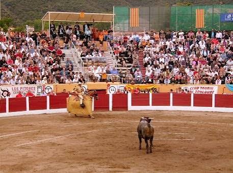 Les origines des corridas à Céret : entre passion et tradition