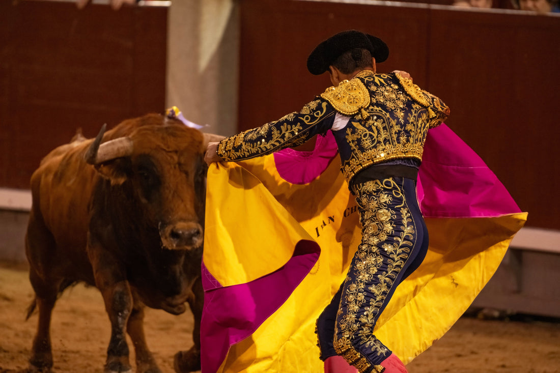 Les origines des corridas à Céret : entre passion et tradition